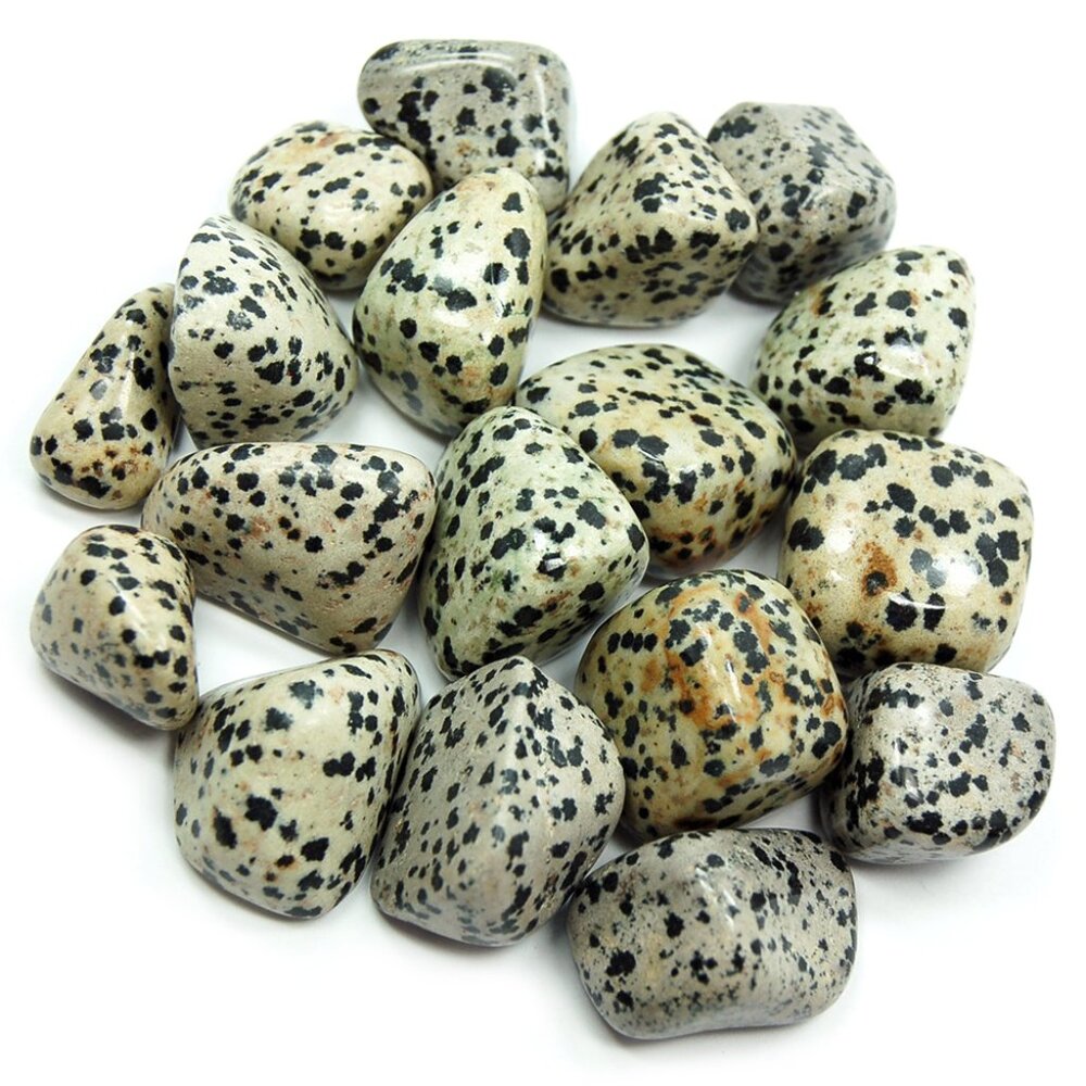 Dalmatian Jasper Tumbled Stone